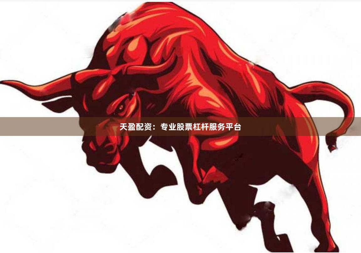 天盈配资：专业股票杠杆服务平台
