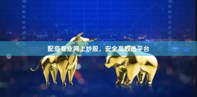 配资专业网上炒股，安全高效选平台
